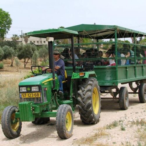 סיור חוויתי בעגלת טרקטור